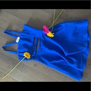 Express blue dress